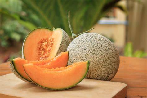 musk melon fruits healthy body