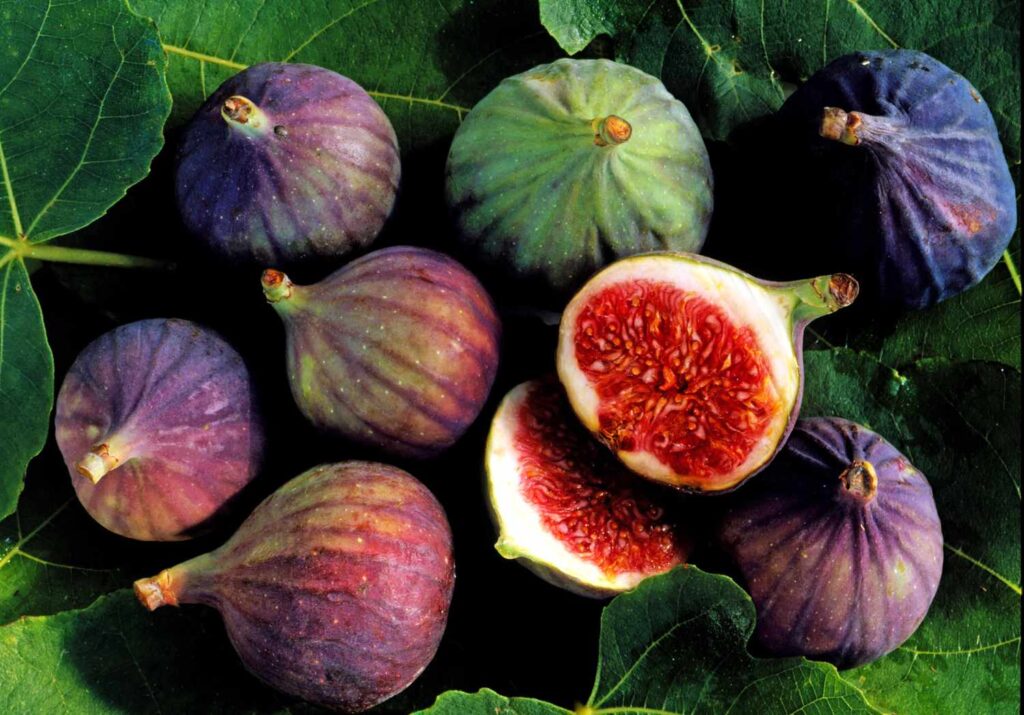 fig fruits