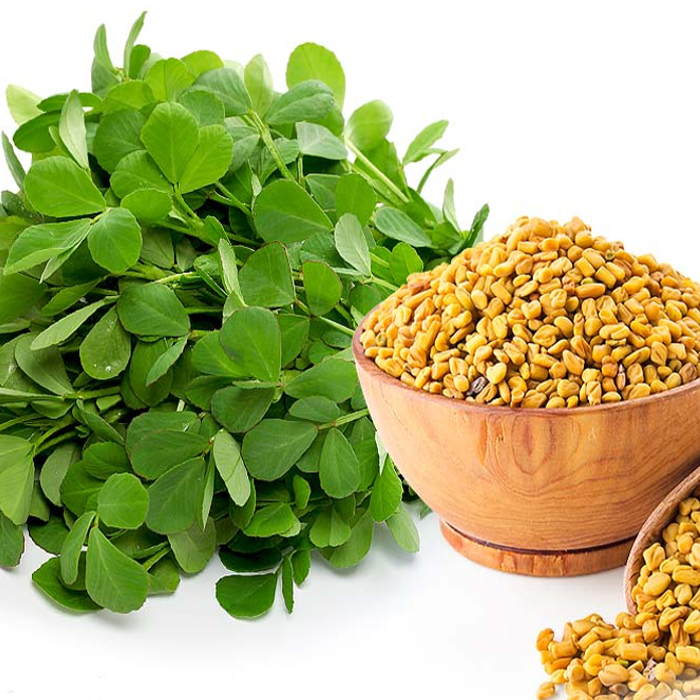 fenugreek(मेथी)